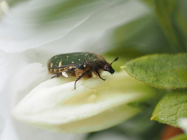 商务接待礼仪的要点