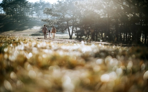 失独家庭调研报告-春林公文网