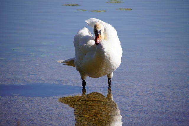 关于桶装水公司的调查报告