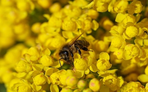 庆祝建党90周年讲话-春林公文网