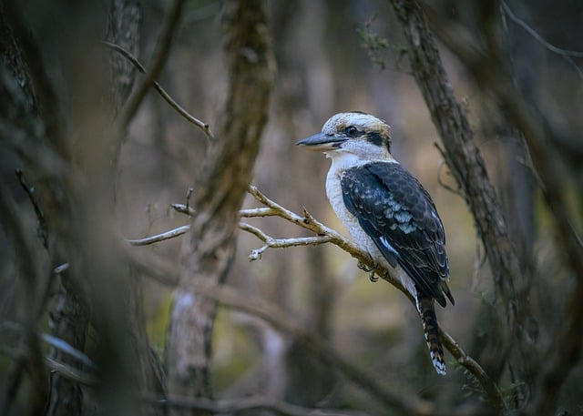 2017年大学新学期励志宣传标语
