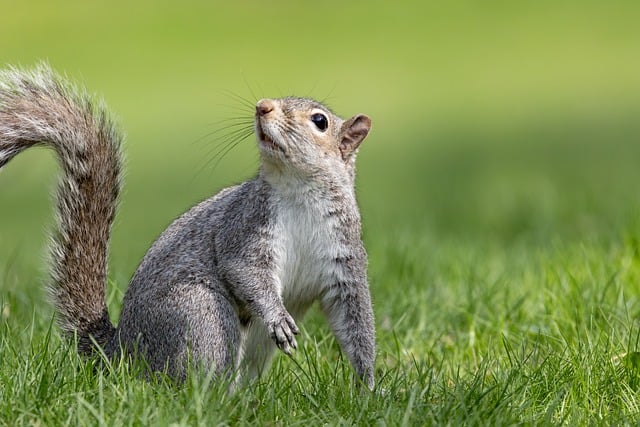 中国共产党巡视工作条例看点解读