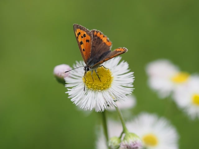 小额贷款宣传口号