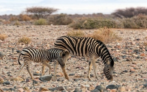 立秋简短朋友圈文案精选60条2021最新-春林公文网