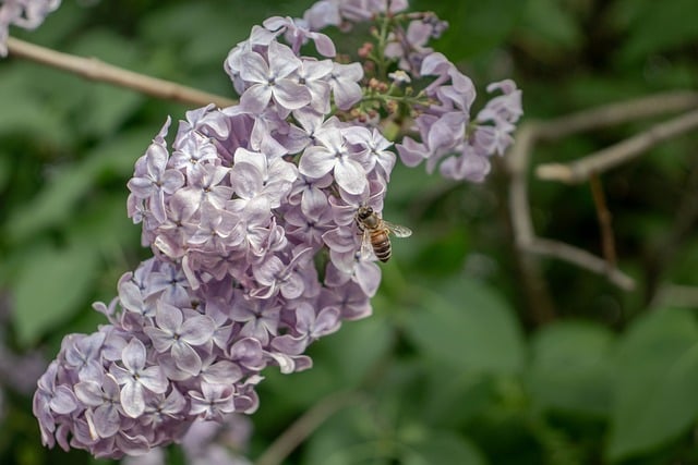 执政时间越长，越要加强党的先进性建设