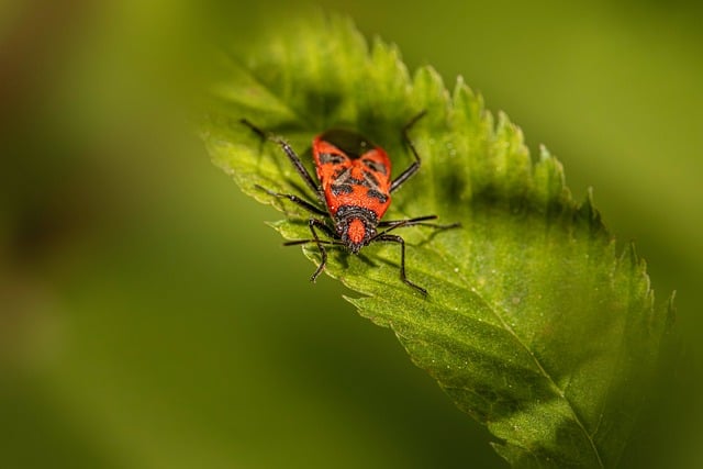 2021年党员教师个人对照检查材料范文精选3篇