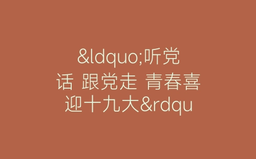 “听党话 跟党走 青春喜迎十九大”大学生暑期社会实践活动总结-春林公文网