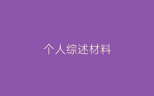 个人综述材料-春林公文网