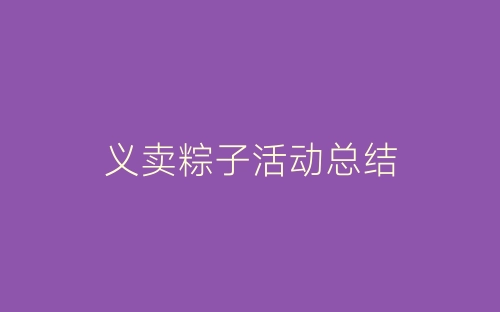 义卖粽子活动总结-春林公文网