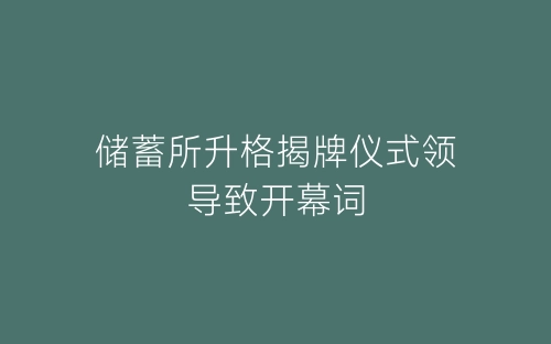 储蓄所升格揭牌仪式领导致开幕词-春林公文网