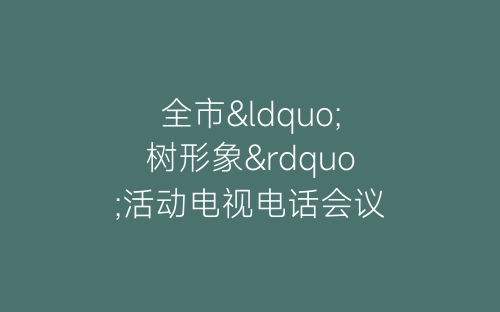 全市“树形象”活动电视电话会议主持词-春林公文网