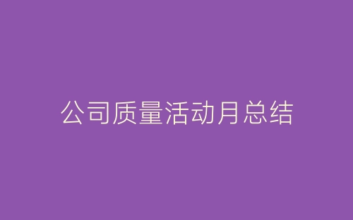 公司质量活动月总结-春林公文网