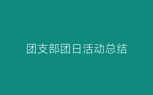 团支部团日活动总结-春林公文网