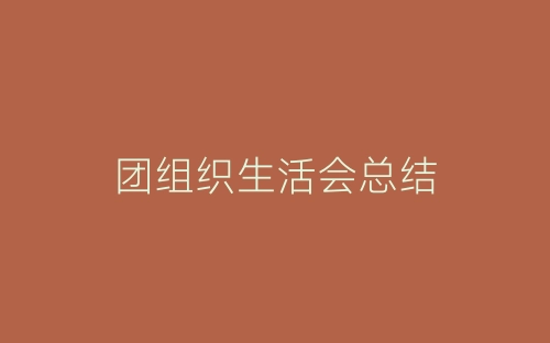 团组织生活会总结-春林公文网