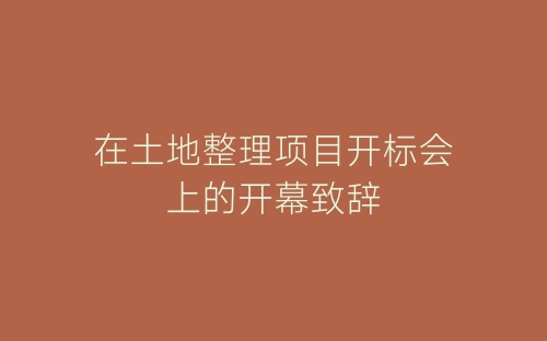 在土地整理项目开标会上的开幕致辞-春林公文网