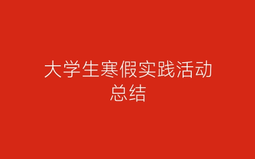 大学生寒假实践活动总结-春林公文网
