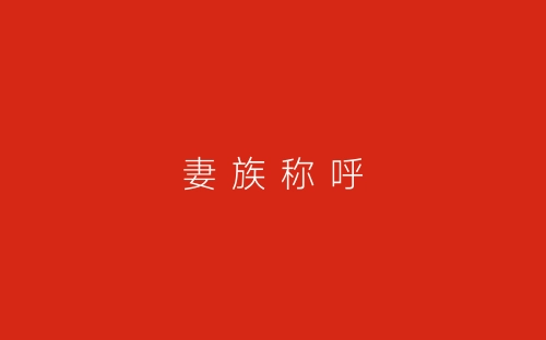 妻 族 称 呼-春林公文网
