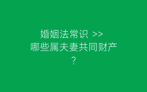 婚姻法常识 >> 哪些属夫妻共同财产？-春林公文网