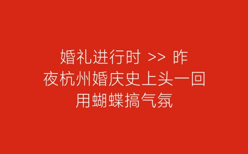 婚礼进行时 >> 昨夜杭州婚庆史上头一回用蝴蝶搞气氛-春林公文网