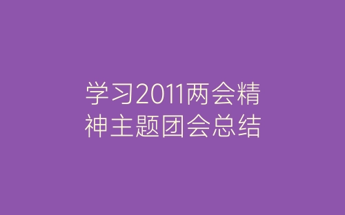 学习2011两会精神主题团会总结-春林公文网