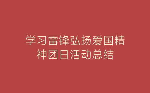 学习雷锋弘扬爱国精神团日活动总结-春林公文网