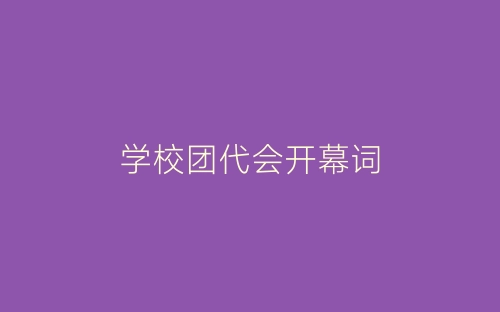 学校团代会开幕词-春林公文网