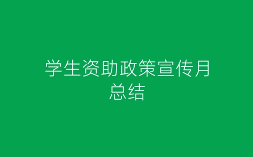 学生资助政策宣传月总结-春林公文网