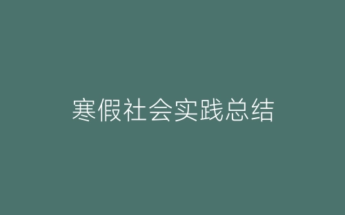 寒假社会实践总结-春林公文网