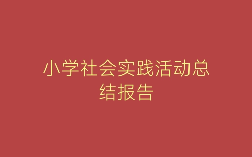 小学社会实践活动总结报告-春林公文网