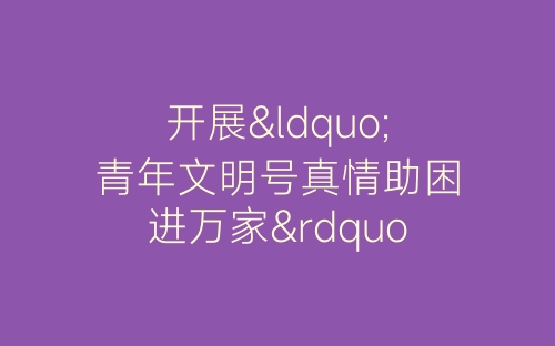开展“青年文明号真情助困进万家”活动总结-春林公文网