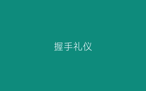 握手礼仪-春林公文网
