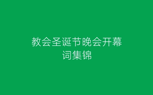 教会圣诞节晚会开幕词集锦-春林公文网