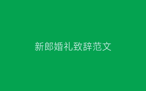 新郎婚礼致辞范文-春林公文网
