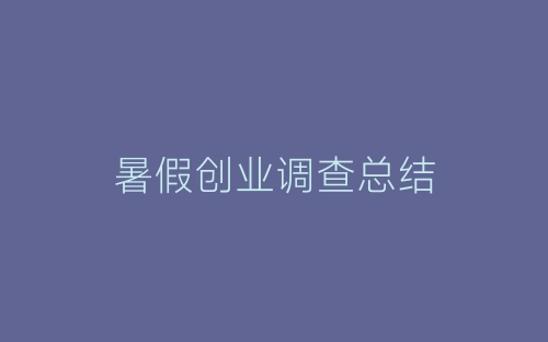 暑假创业调查总结-春林公文网