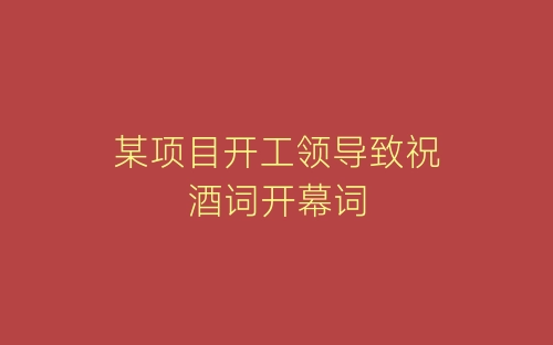某项目开工领导致祝酒词开幕词-春林公文网