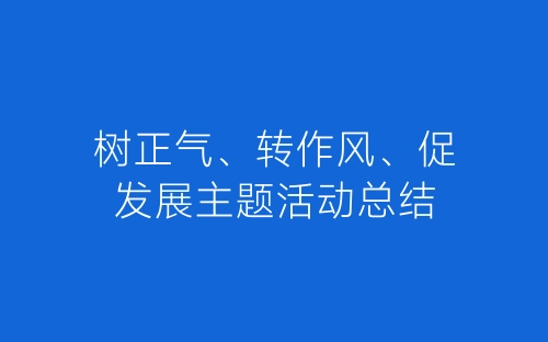 树正气、转作风、促发展主题活动总结-春林公文网