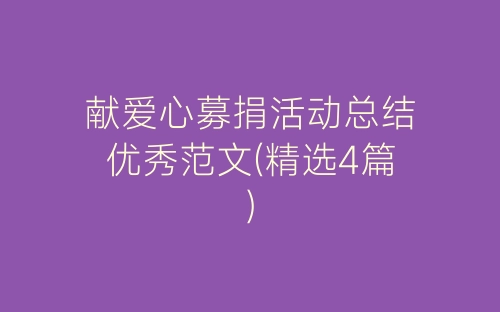 献爱心募捐活动总结优秀范文(精选4篇)-春林公文网