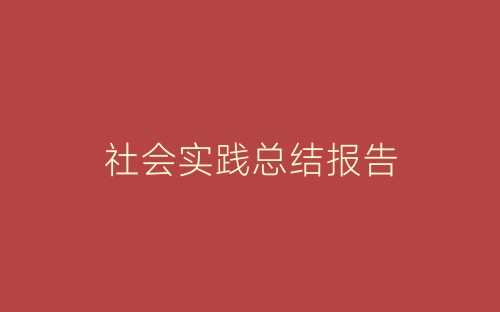 社会实践总结报告-春林公文网
