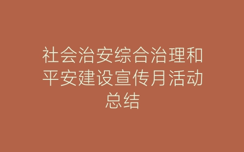社会治安综合治理和平安建设宣传月活动总结-春林公文网