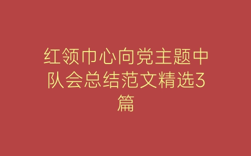 红领巾心向党主题中队会总结范文精选3篇-春林公文网