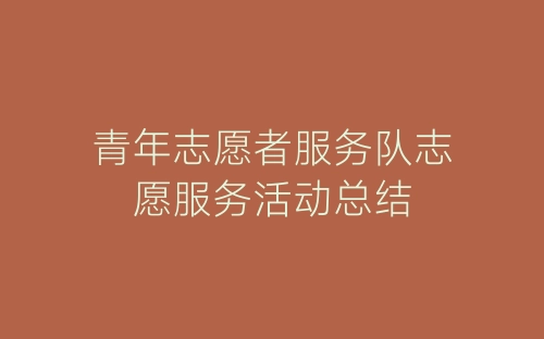 青年志愿者服务队志愿服务活动总结-春林公文网