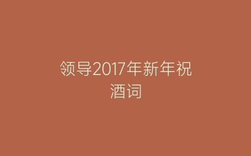 领导2017年新年祝酒词-春林公文网