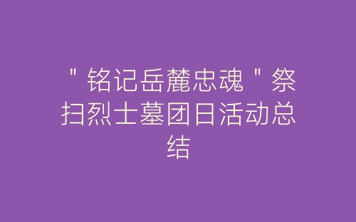 ＂铭记岳麓忠魂＂祭扫烈士墓团日活动总结-春林公文网